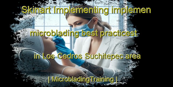 Skinart Implementing implemen microblading best practicest in Los Cedros Suchitepec area | MicrobladingTraining | MicrobladingClasses | SkinartTraining-Mexico